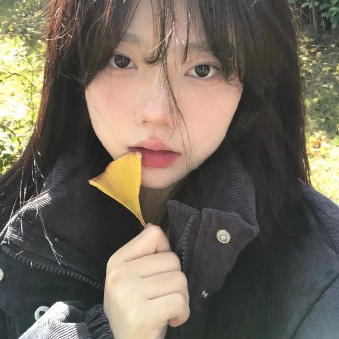小镇圣诞爱